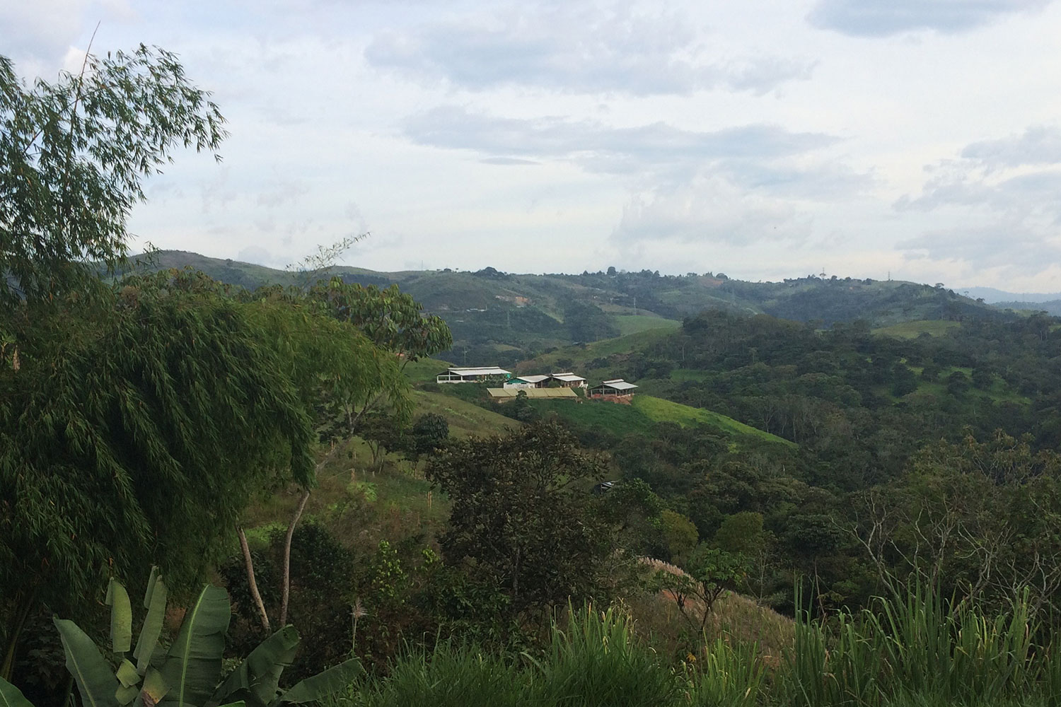 Landschaftsbild aus Kolumbien, Monterilla